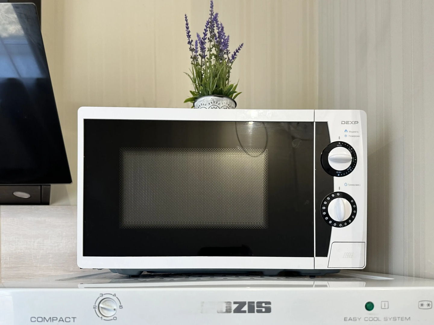 Квартира Дизайнерская Студия 1/2