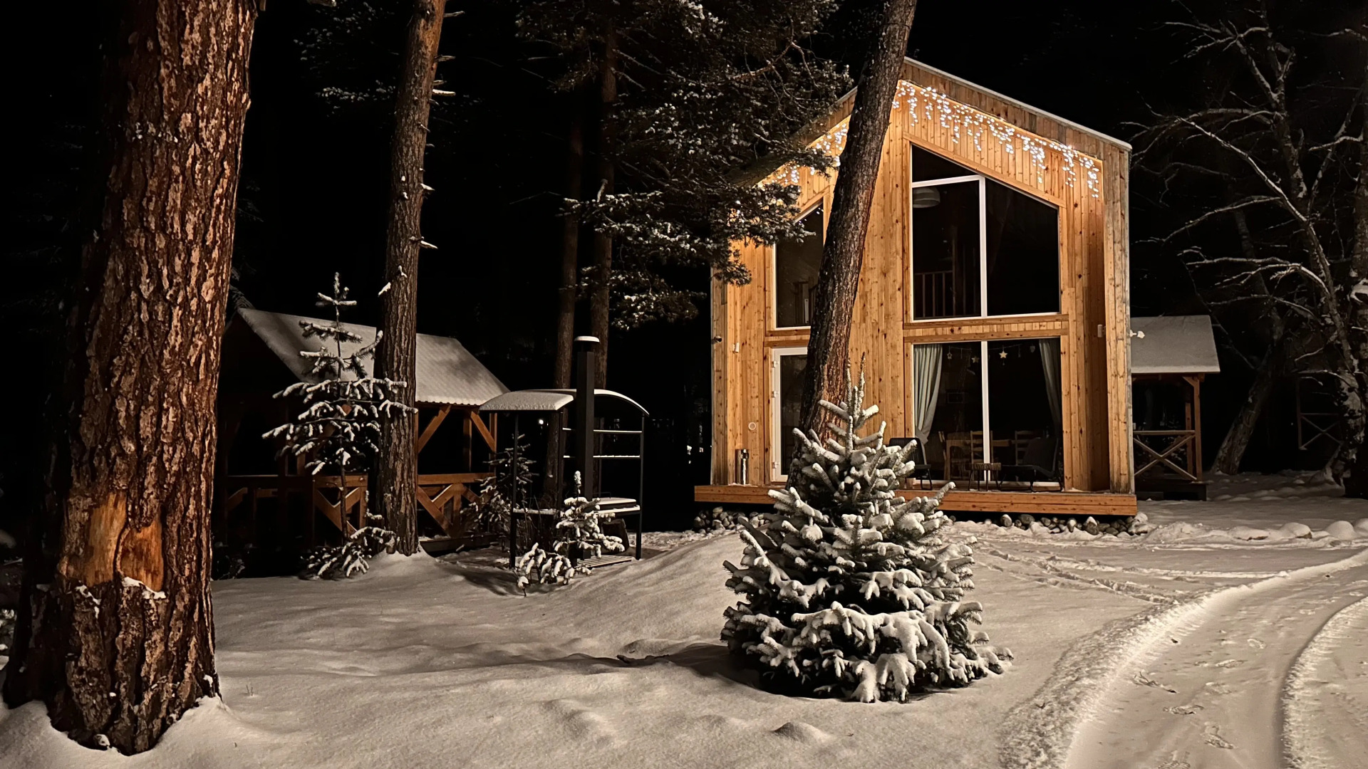 Гостевые дома Шишка