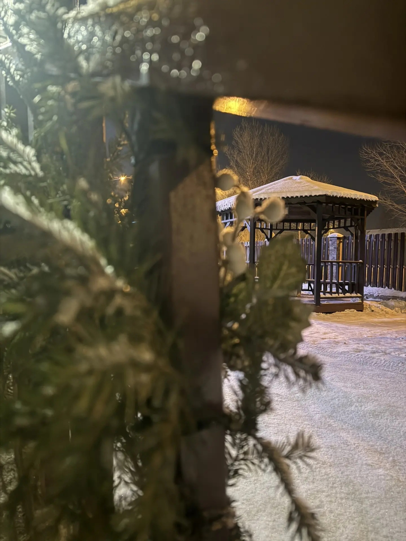 Отель Альфа