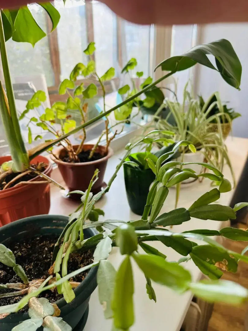 1 Комнатная Квартира