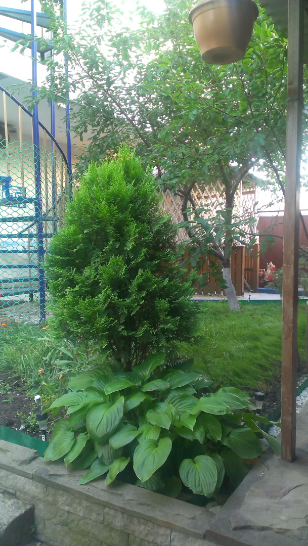 Гостевой дом Вера