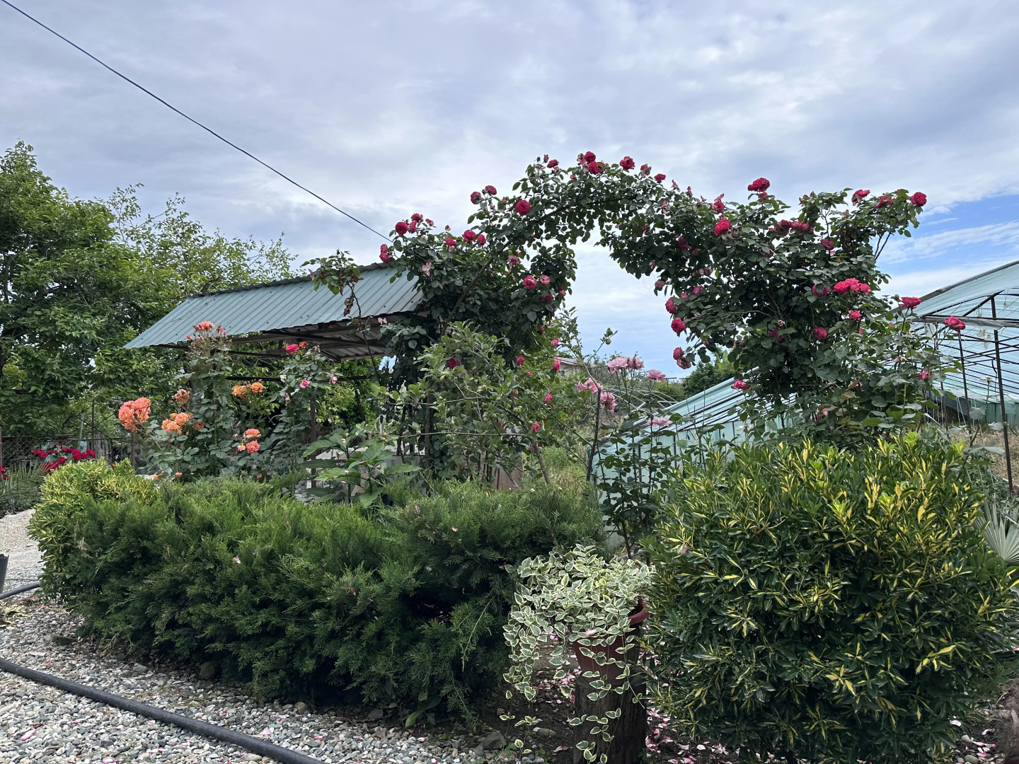 Гостевой дом У Рубена