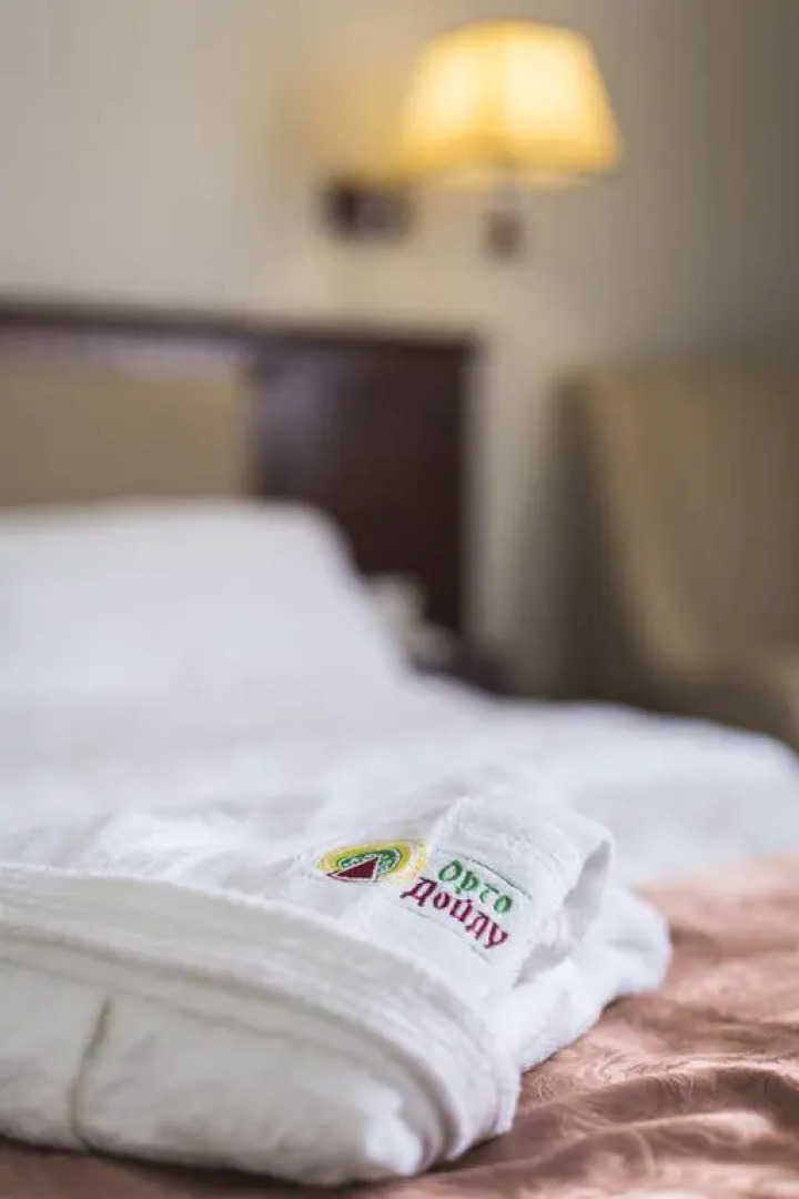 Гостиница Орто Дойду