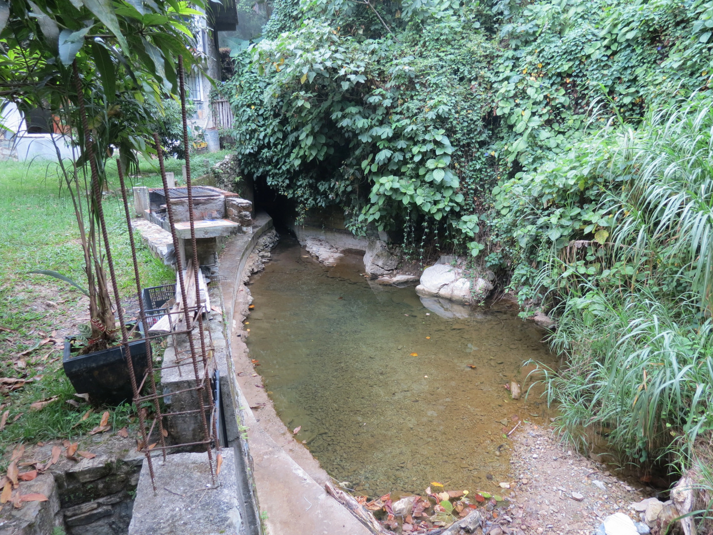 Отель Casa Verde Xilitla by Rotamundos