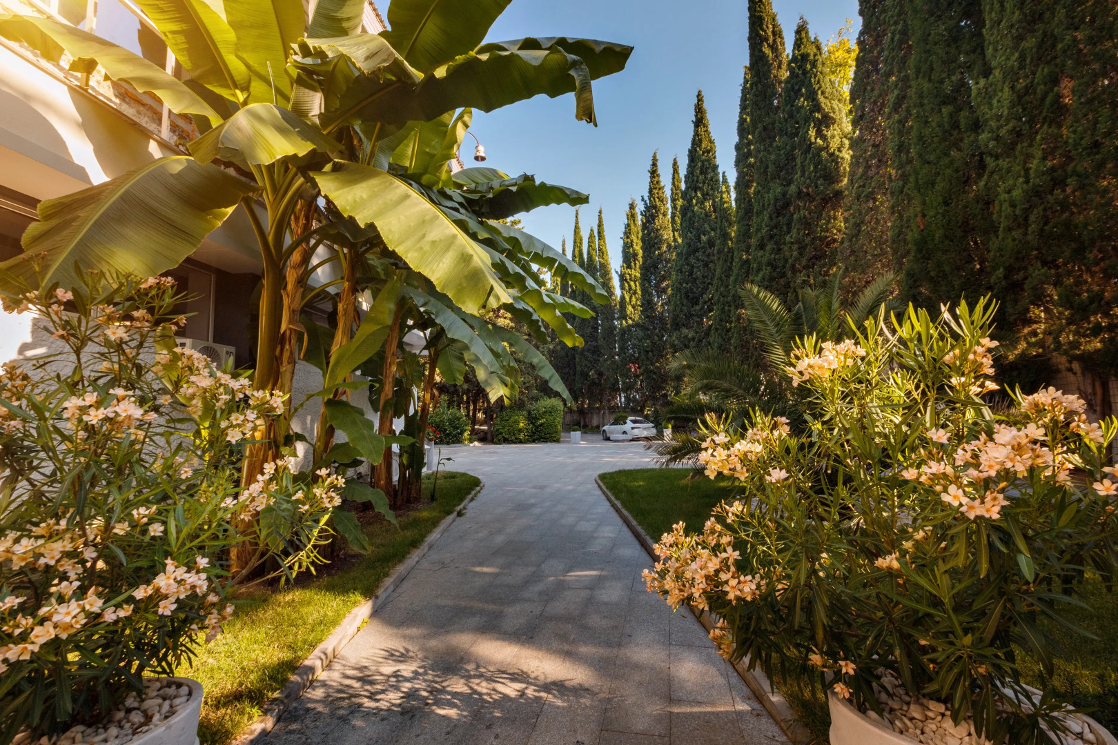 Парк-отель Московский