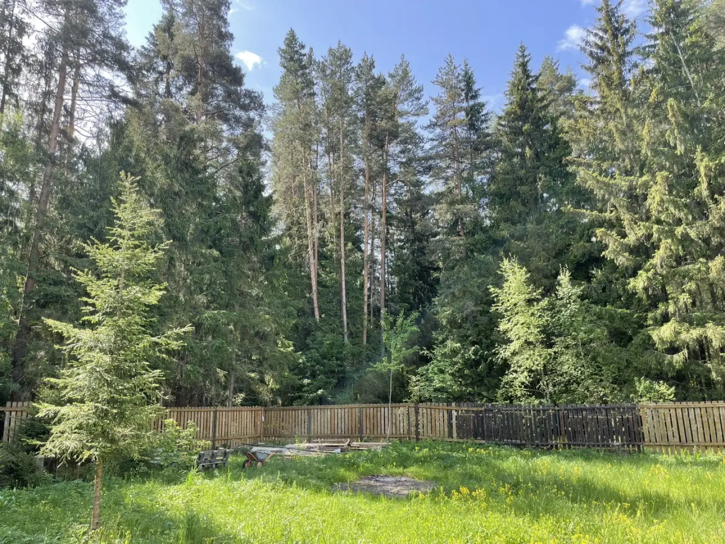 Частный дом в лесу Woodcamp
