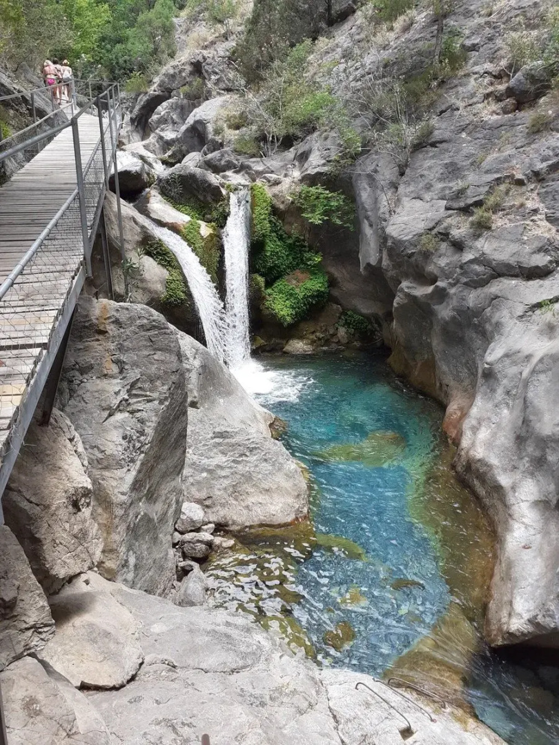 Отель Alanya Risus Park