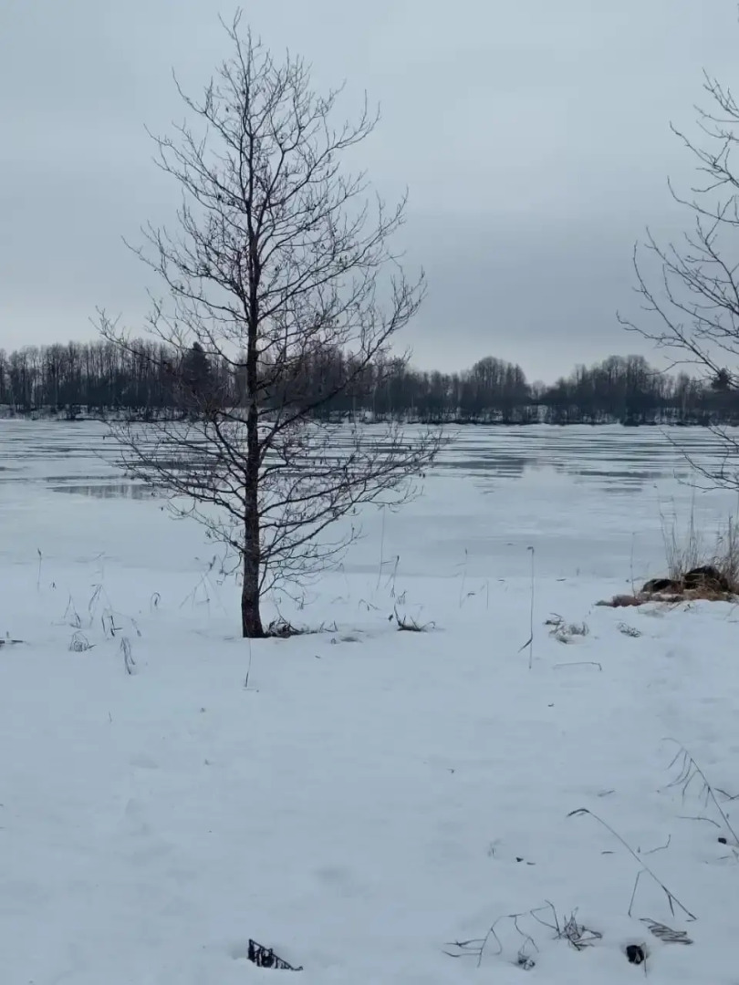 Гостевой дом "Загородный"