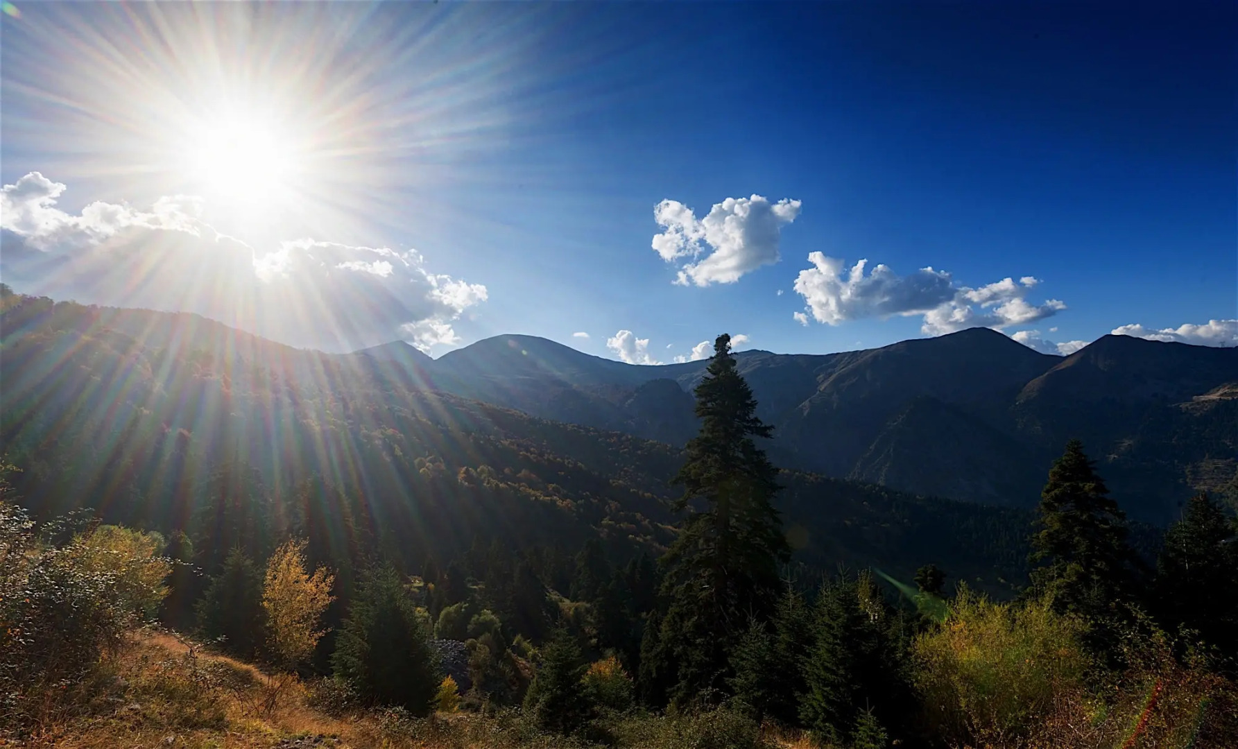 Отель Koutsikouris