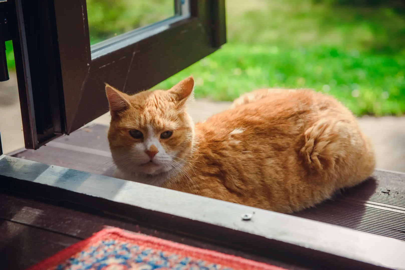 Отель Парк Отель