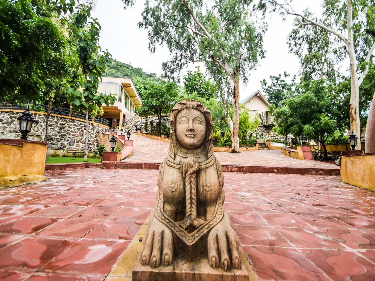 Отель The Space Jungle