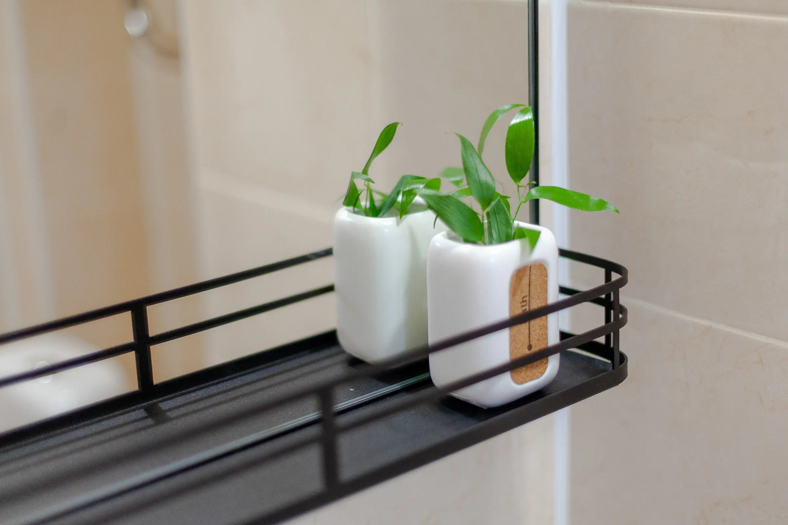 Квартира  «StarHouse» у Шапито