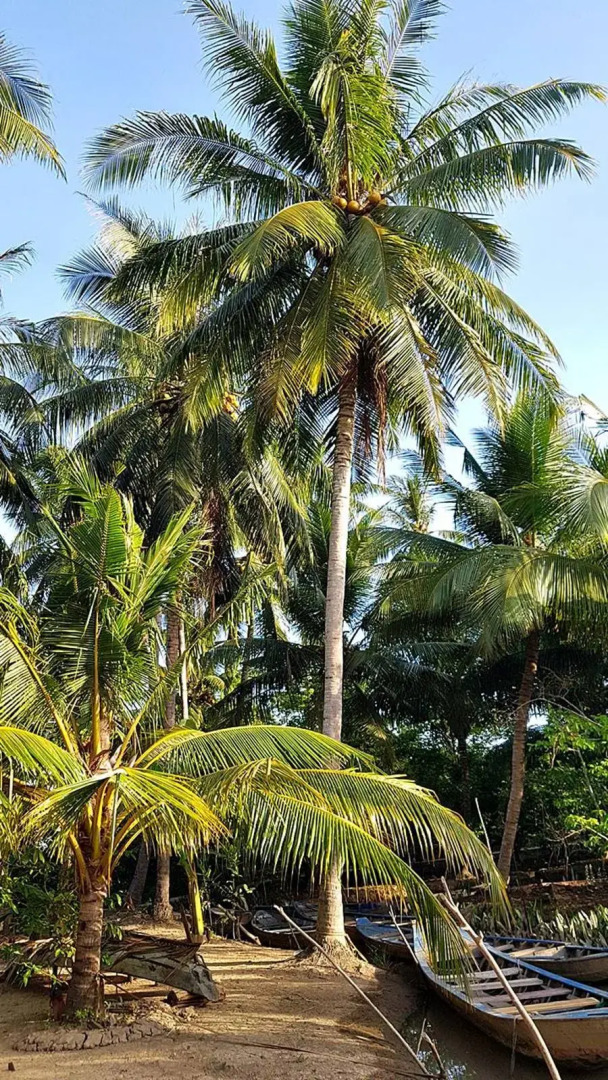 Гостевой дом Nhon Thanh Homestay