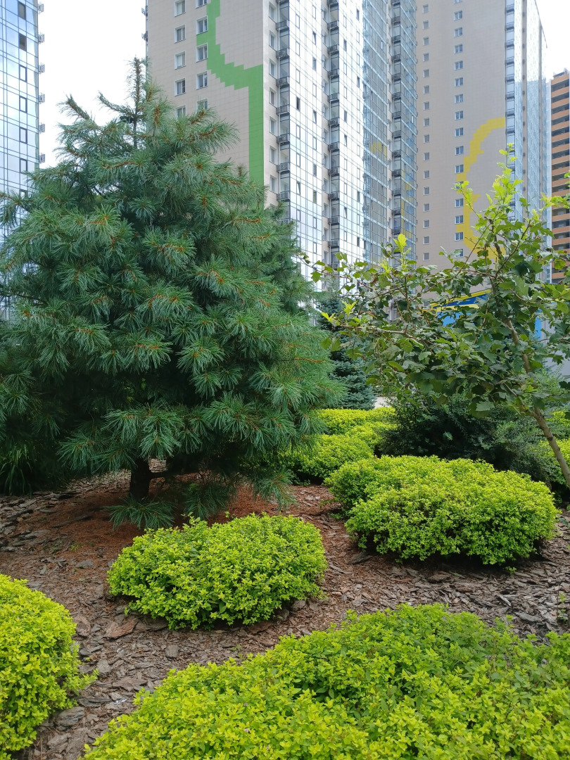 Квартира Студия правая на Зеленом бульваре