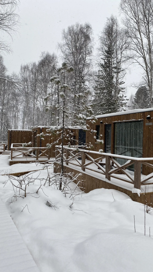 Снежные Гуси в Байкальске