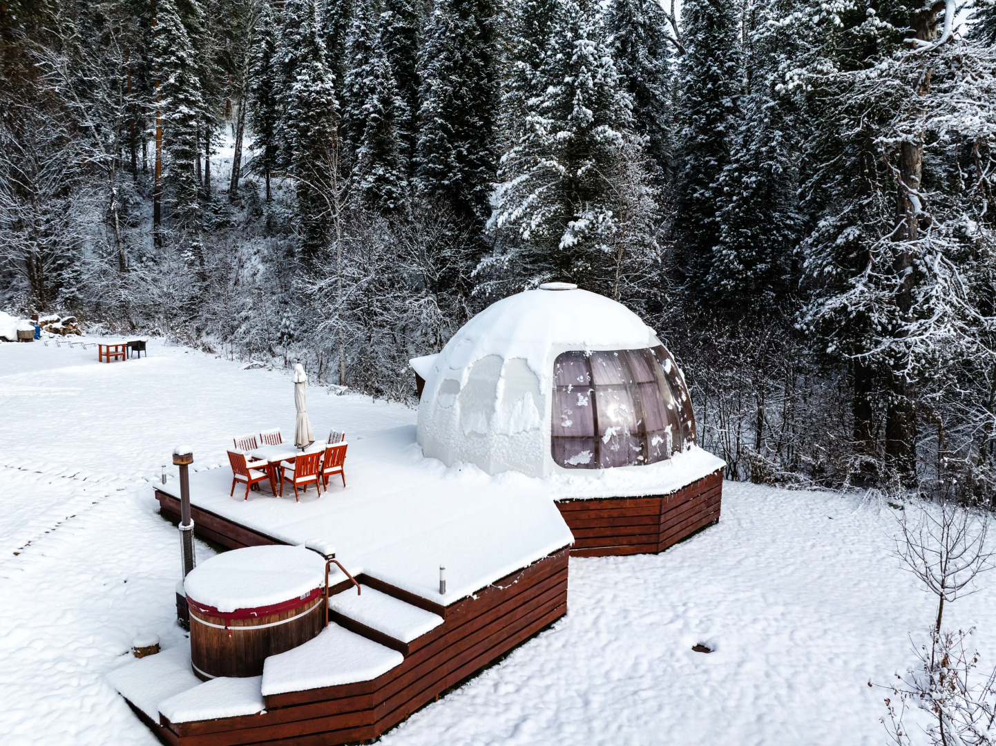 Шале Алтай Forest Glamp