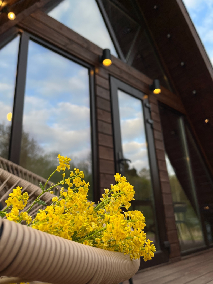 Частный дом Дом с Ковром