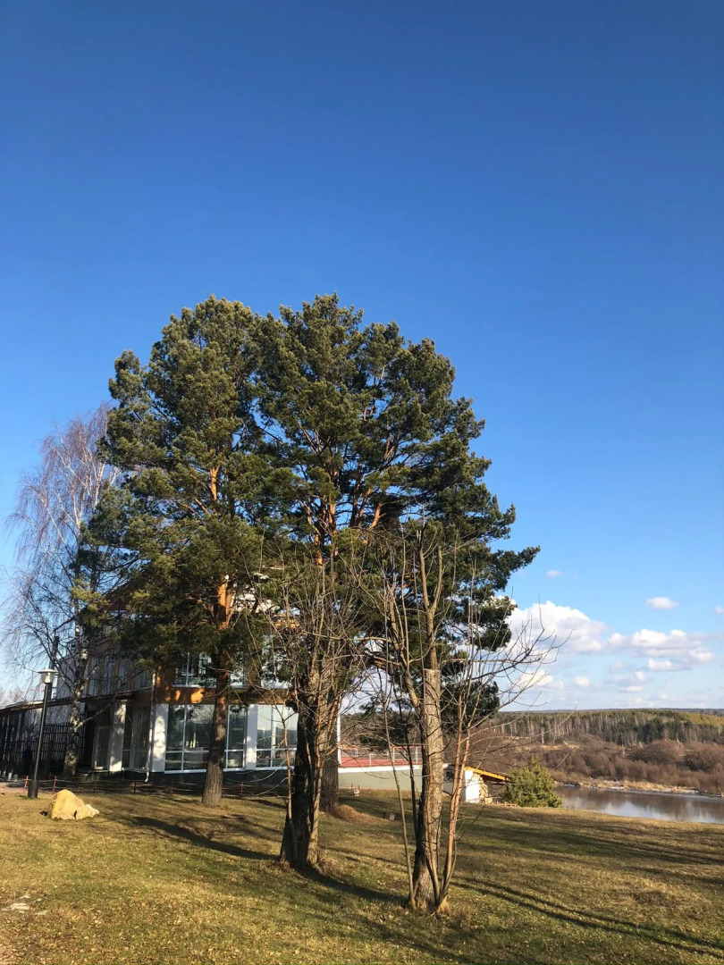 База отдыха Солнечная на Оке