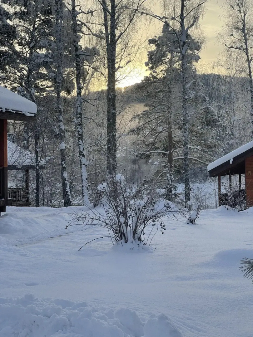 База отдыха Парк-отель PRO-отдых