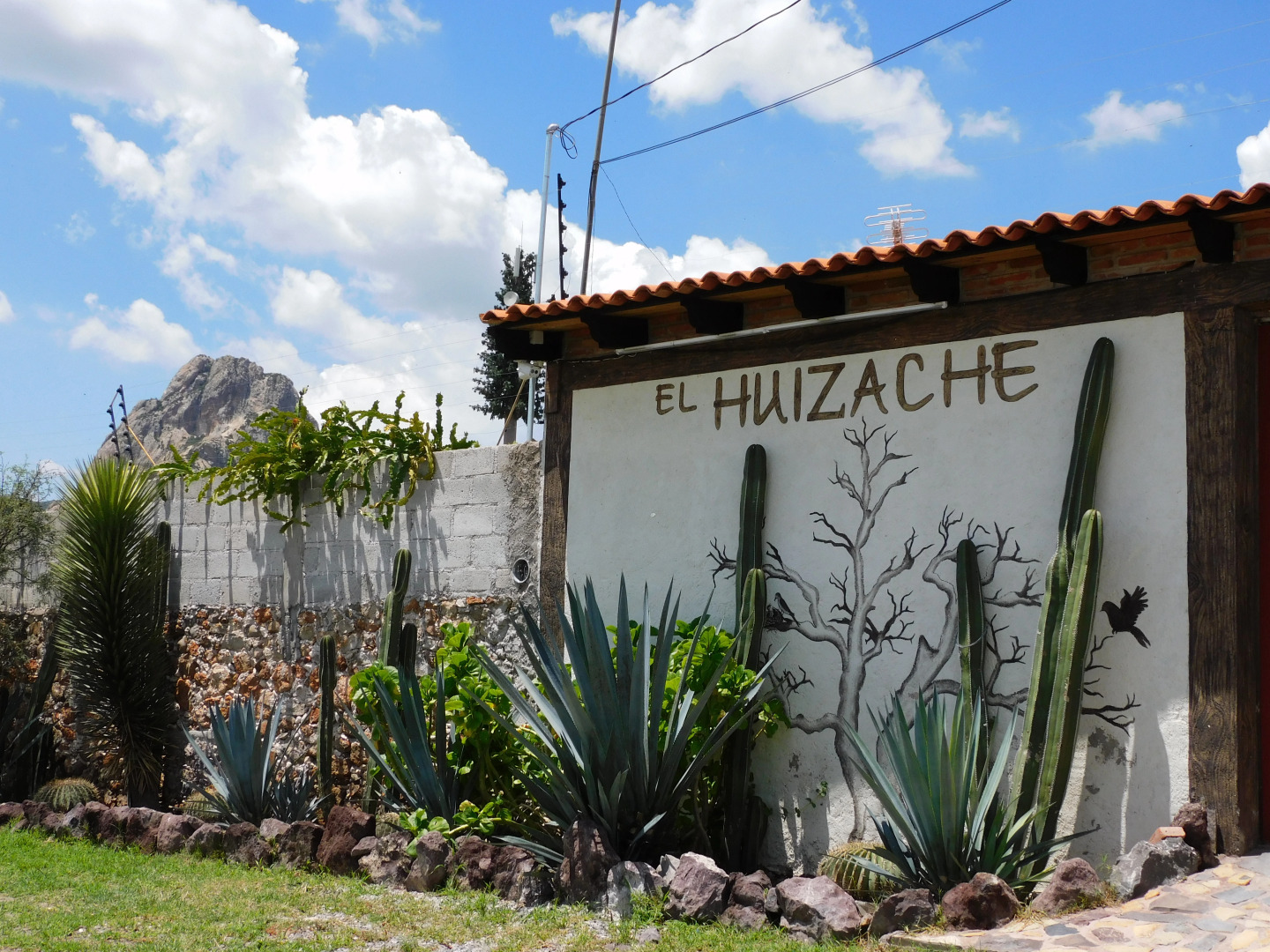 Отель El Huizache Rotamundos