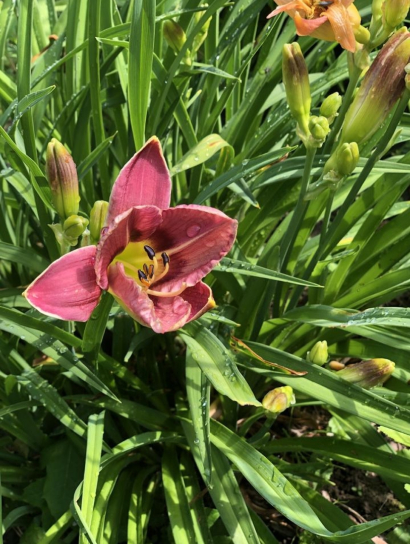 Dlya Dushi I Serdtsa U Mozhayskogo Morya Guest house