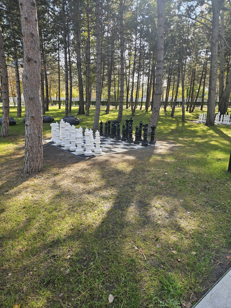 Апартаменты с бассейном