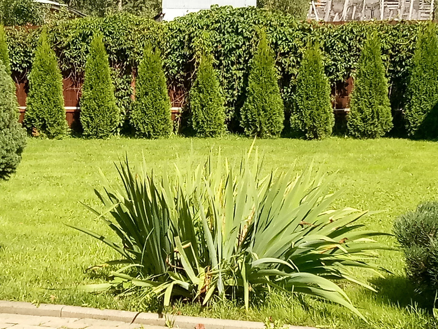 Гостевой дом Метелица