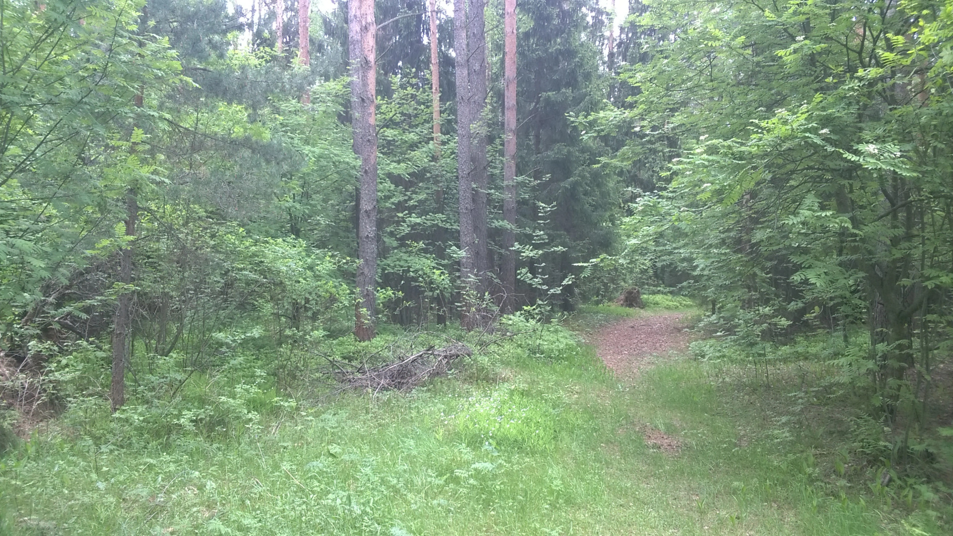 Гостевой дом Агатес