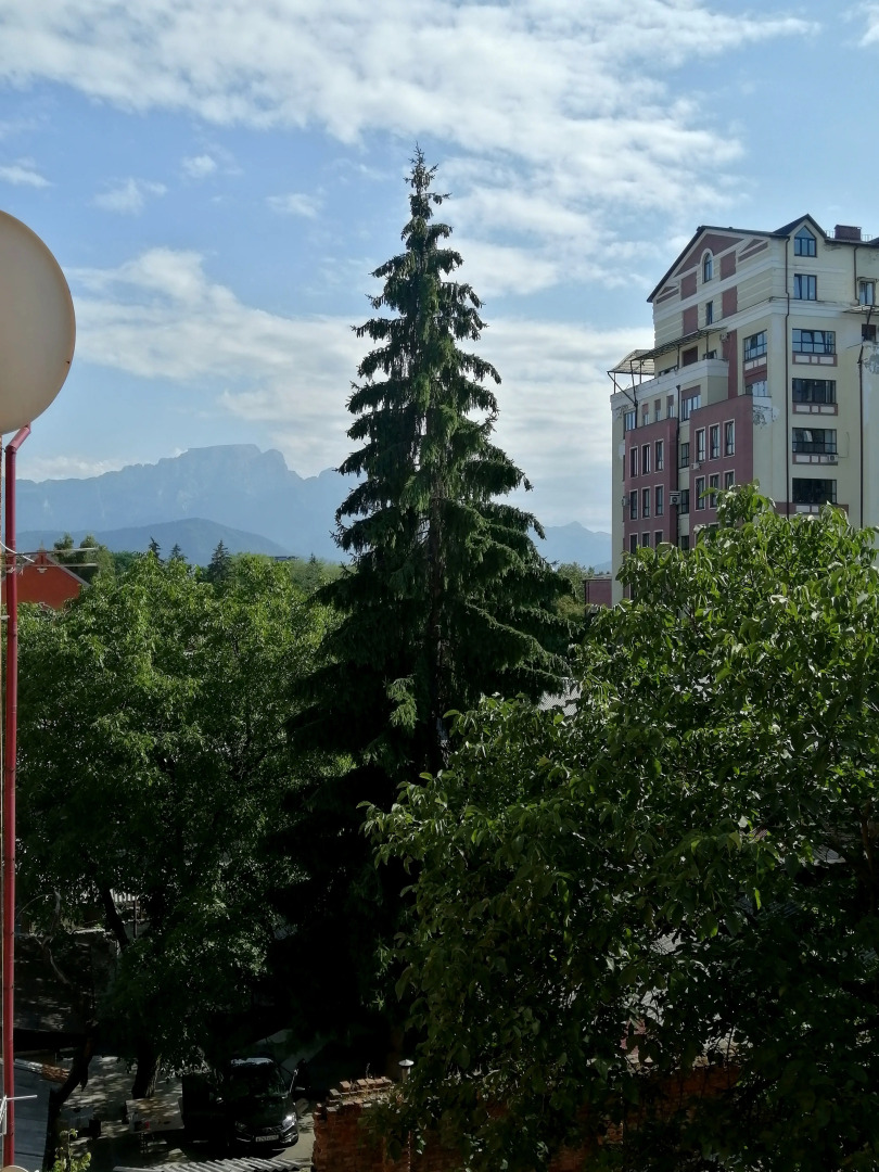 Квартира комфортная в самом центре города с приятным окружающим видом