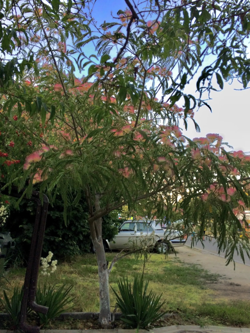 Гостевой Дом Татьяна