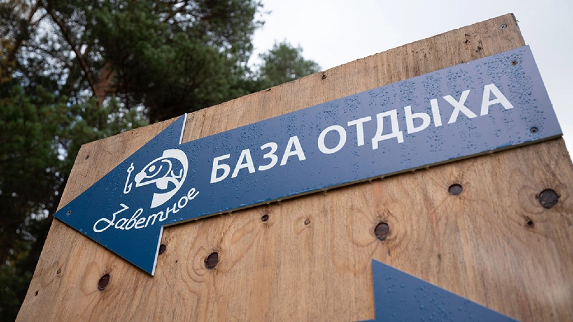 Отель База отдыха Заветное