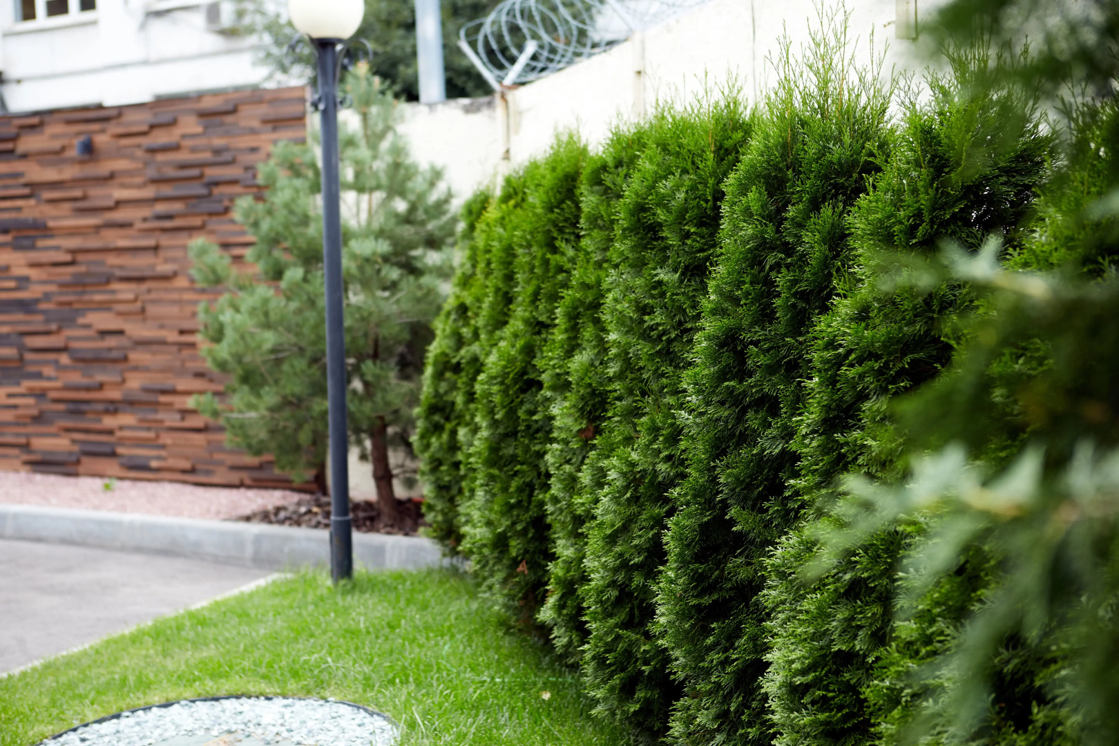 Отель Ситипарк