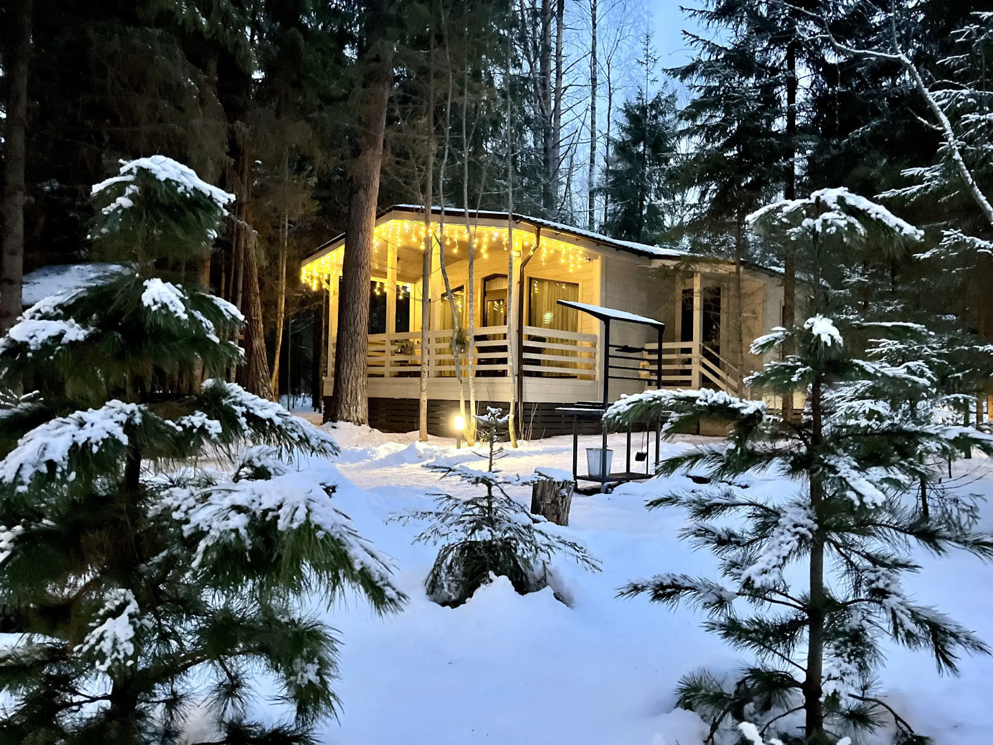 Домик на опушке на берегу Озера Волго на Селигере - коттеджи Сосновый бор