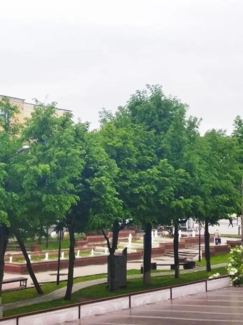 Апартаменты на Бульваре Чавайна 42