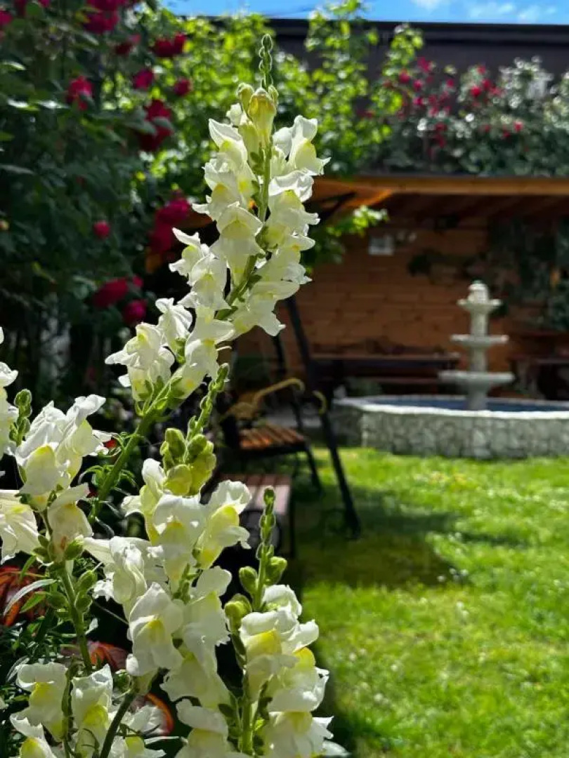 Отель Kavo-de-Bukso