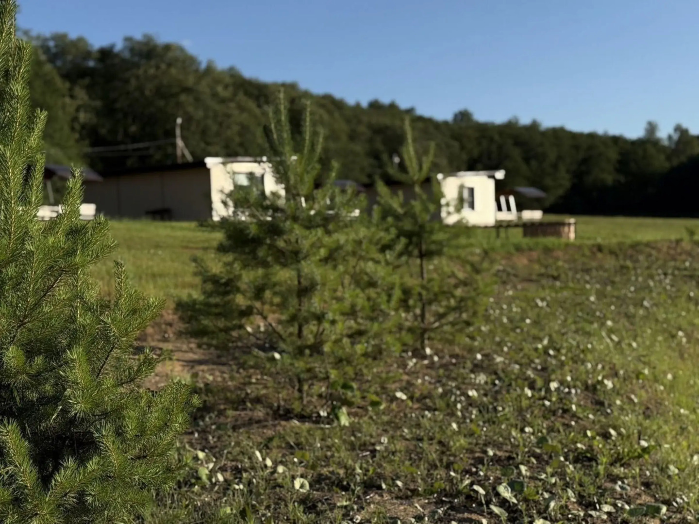 Частный дом в леcу рядом с Вязьмой у peки