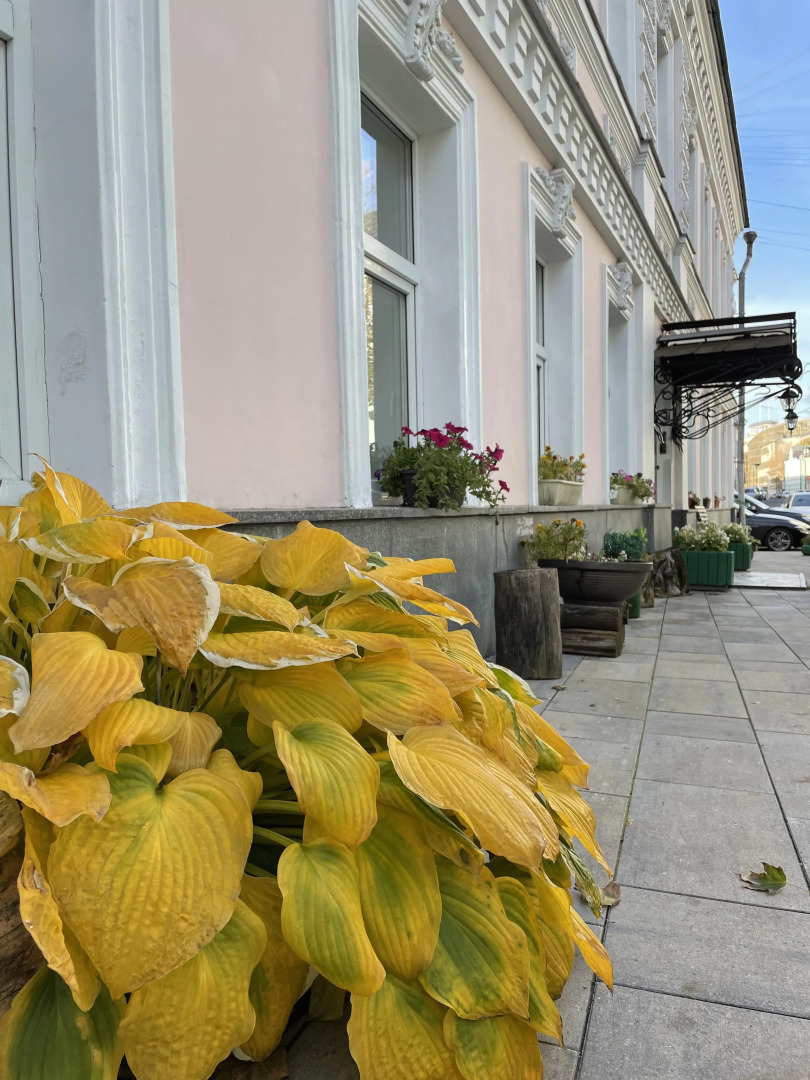 Хостел Artist Hostel на Цветном Бульваре