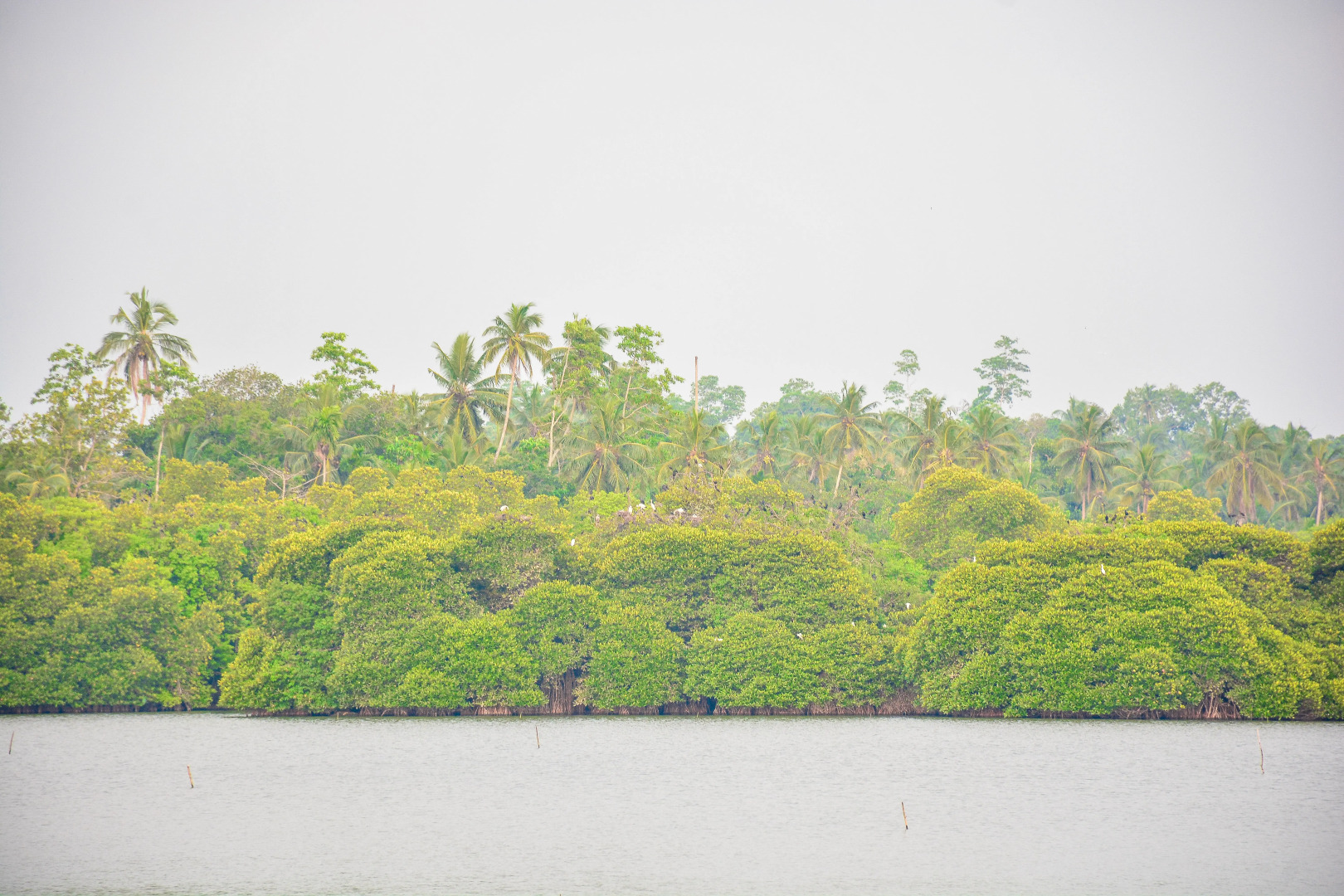 Вилла Rookada Heritage Private