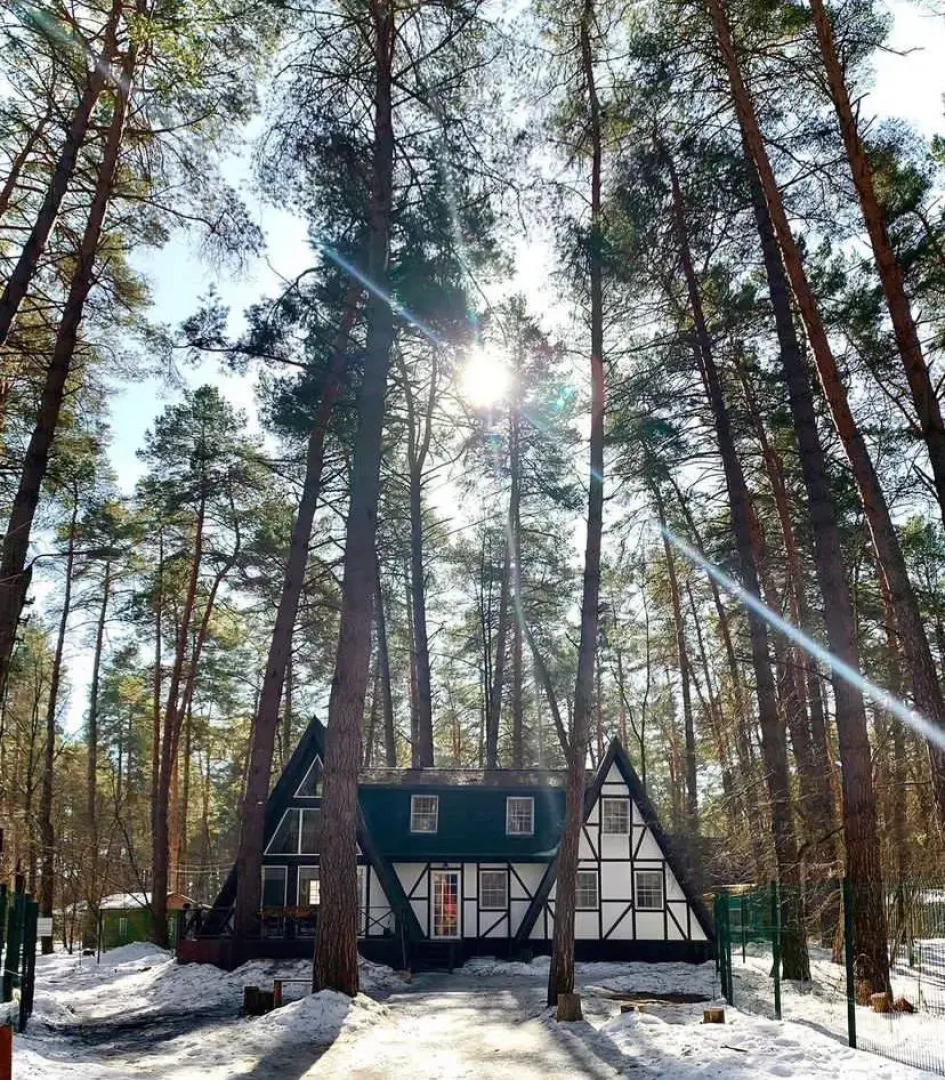 Шале Буныревский Треугольник