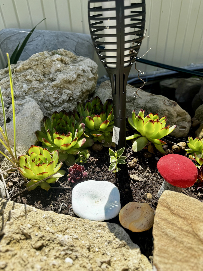 Квартира На Янтарной