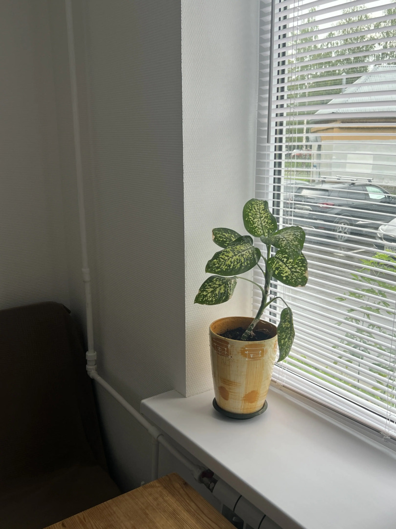 Квартира 2/2 Владимир