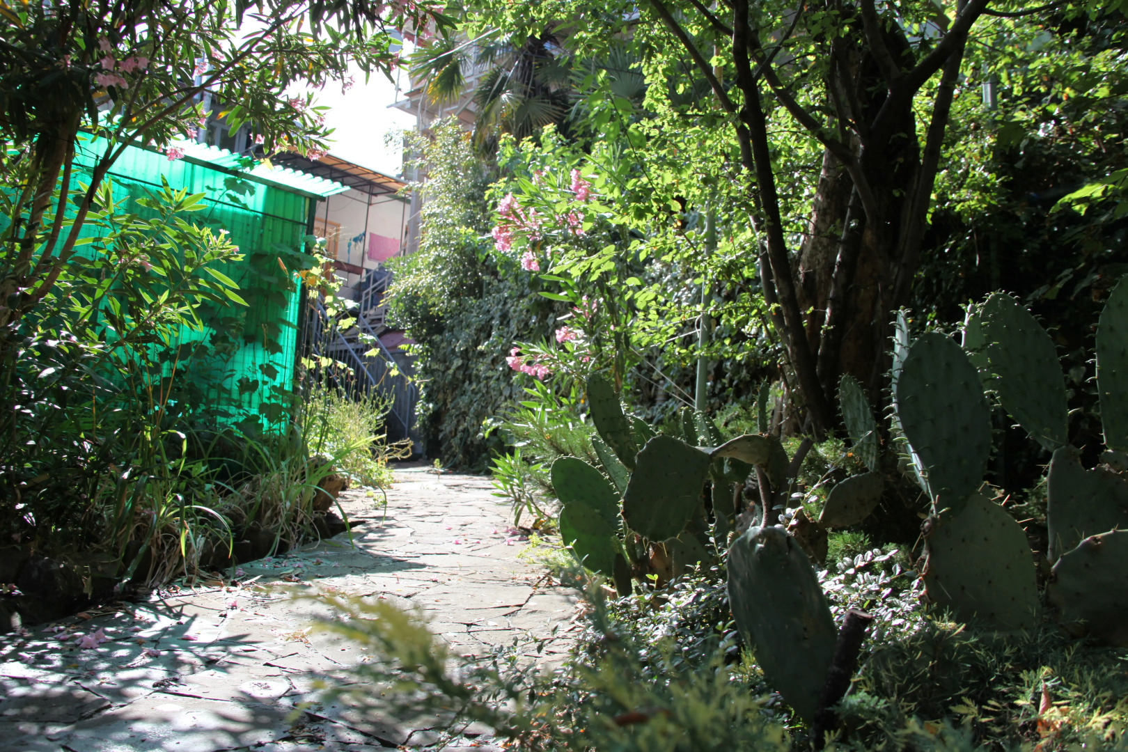 Гостевой Дом Пальма