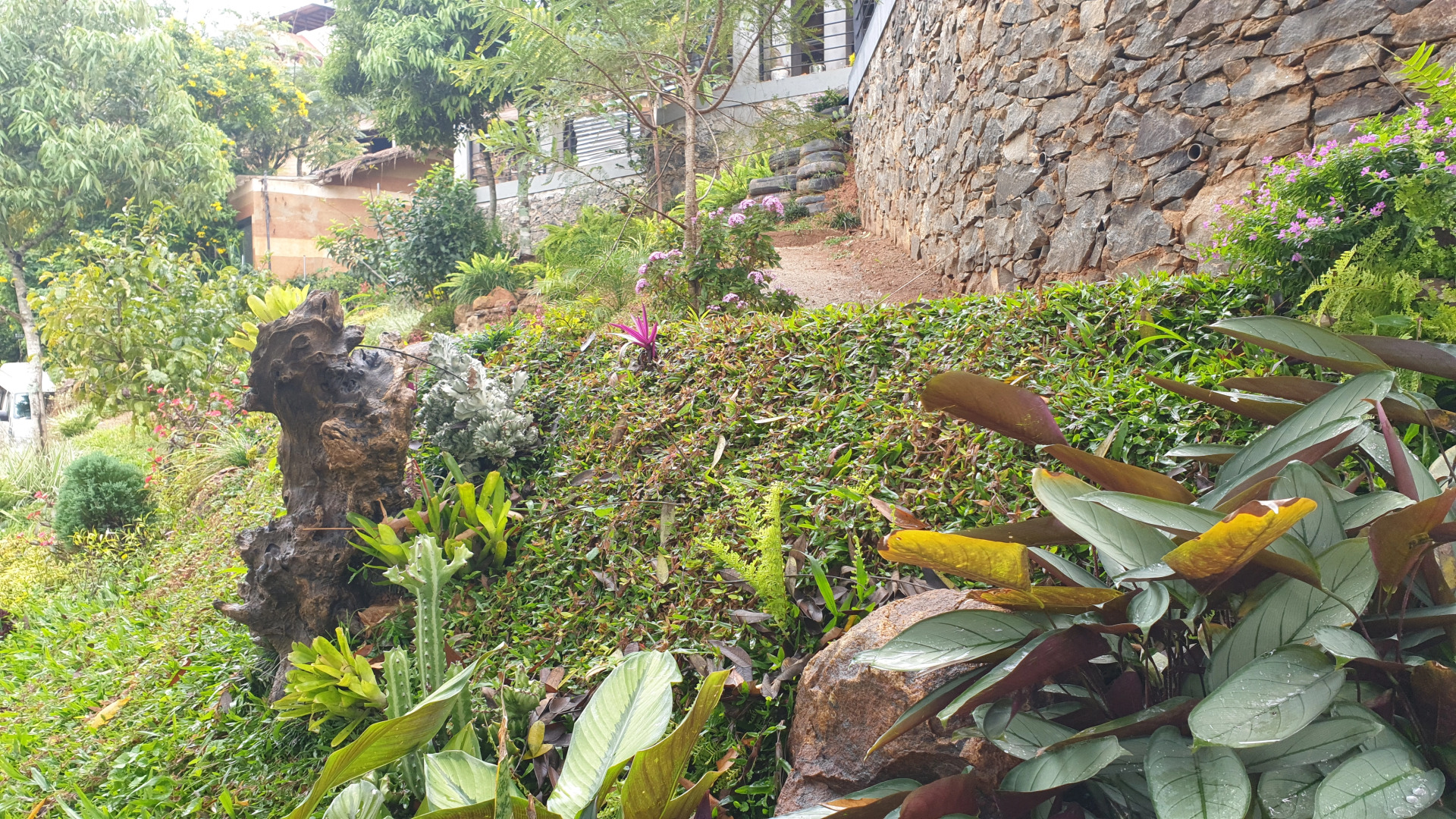 Отель The Cubes Ella