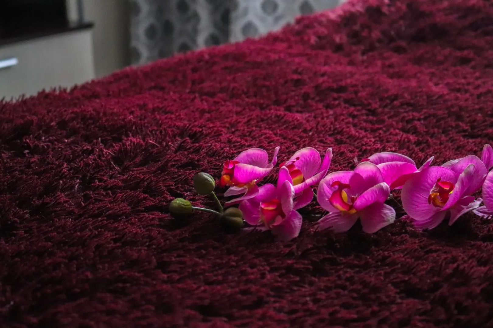 Апартаменты Недалеко от Парка