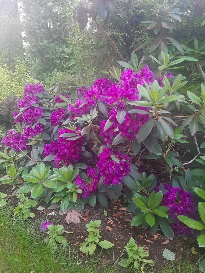 Гостевой дом Эко парк