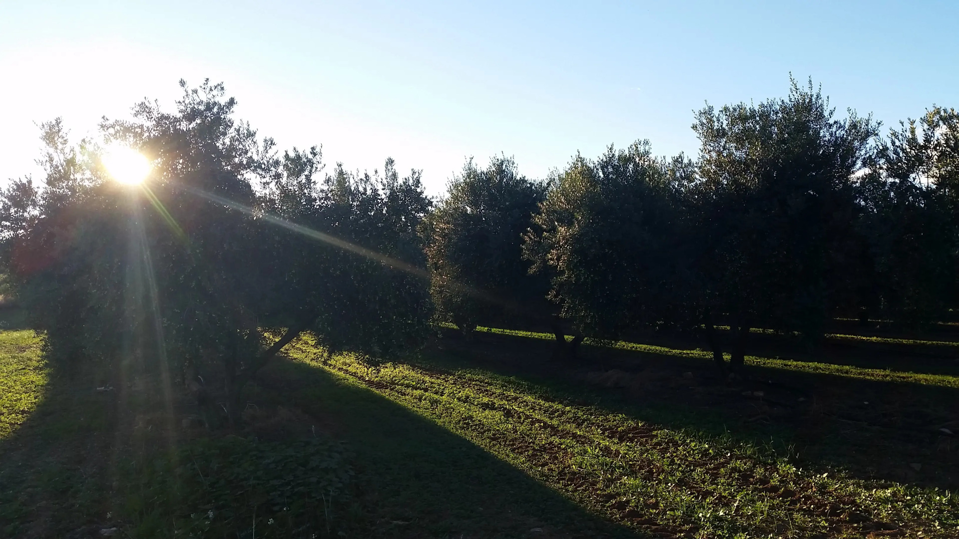 Мини-Отель Mas Montbrio Belvedere