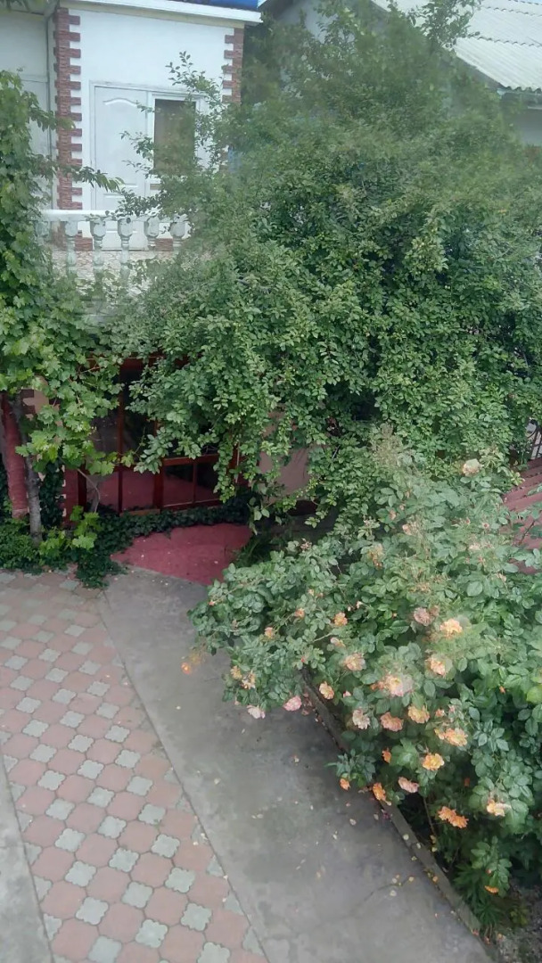 Гостевой Дом Viktoria