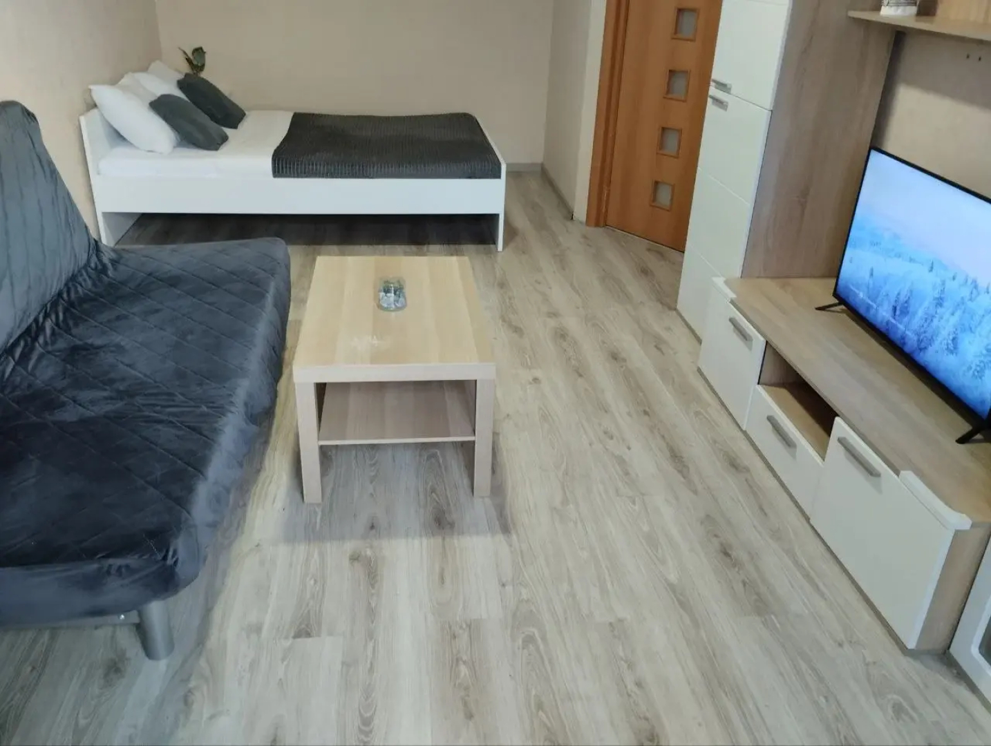 Квартира с Видом на Стадион