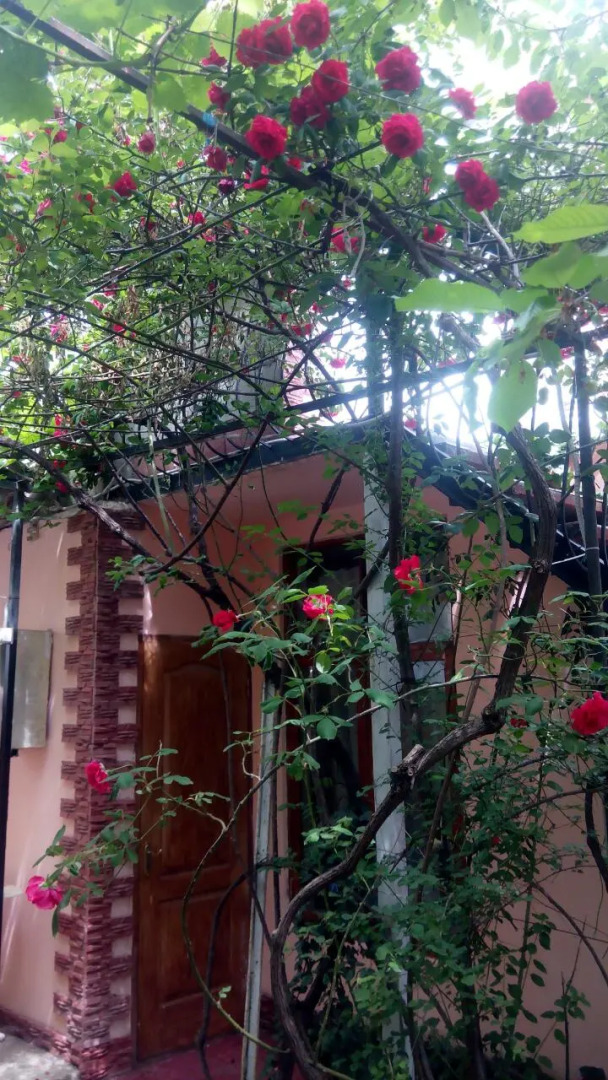 Гостевой Дом Viktoria