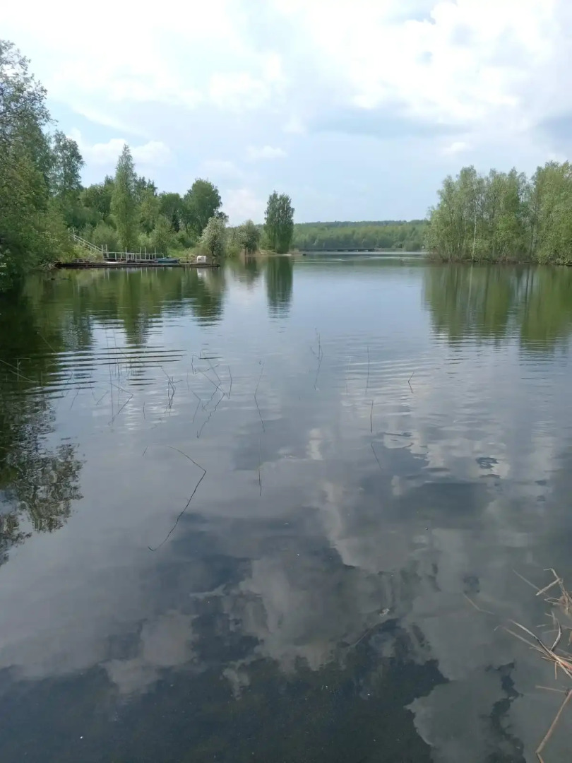Гостевой дом Лосиный мыс